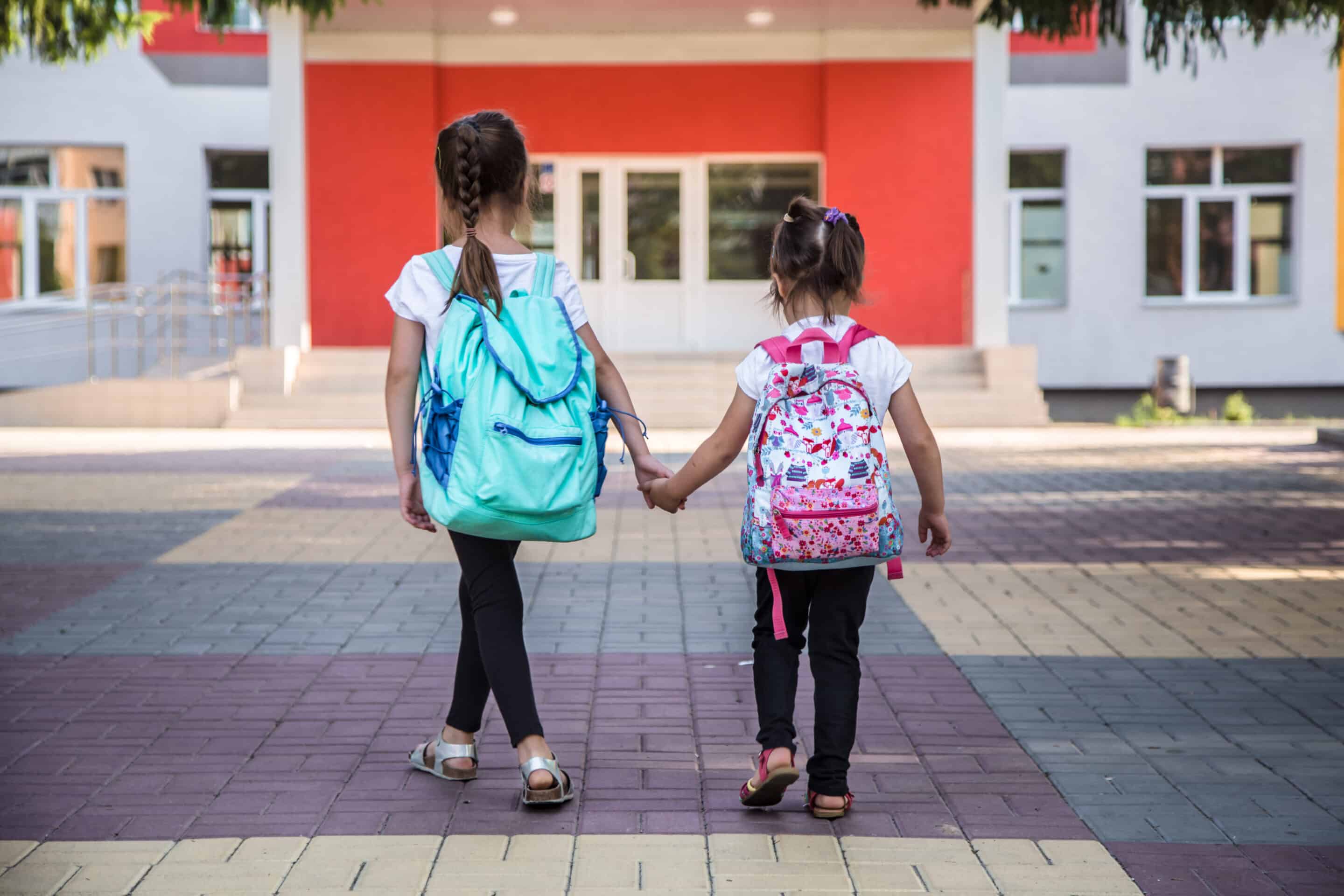 Back to school education concept with girl kids, elementary students, carrying backpacks going to class Object Detection Software