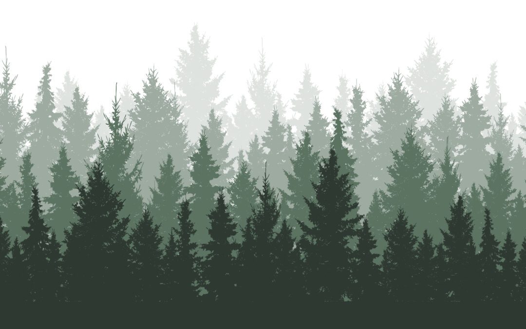 Evergreen Licensing